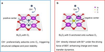 Sulfur atom occupying surface oxygen vacancy to boost the charge transfer and stability for aqueous Bi2O3 electrode