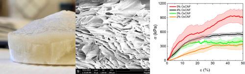 Enhancement of mechanical properties of nanocellulose xerogels using TEMPO-oxidized fibers