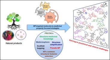 How to nurture natural products to create new therapeutics: Strategic innovations and molecule-to-medicinal insights into therapeutic advancements