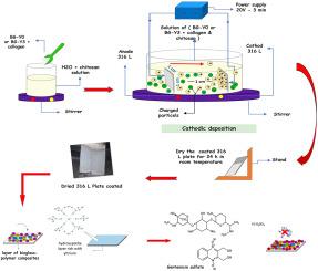 Aqueous electrophoretic deposition of yttrium-doped nanobioactive glass/collagen/chitosan orthopedic coatings on 316L SS