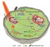 Mitochondrial dynamics and energy metabolism interference therapy for promoting photothermal sensitization