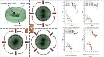 Manipulating three-dimensional magnetic particles motion in a rotating magnetic field