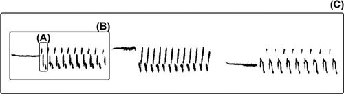 Syntax in animal communication: its study in songbirds and other taxa