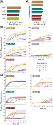 Species barrier as molecular basis for adaptation of synthetic prions with N-terminally truncated PrP