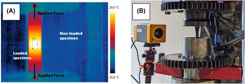 S–N curves established from limiting energy in the case of specimens additively manufactured from AlSi10Mg