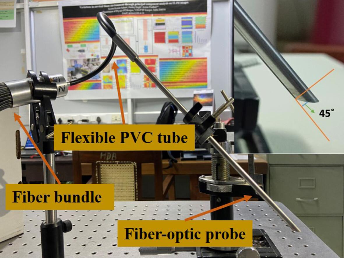 Spatially Resolved Fibre-Optic Probe for Cervical Precancer Detection Using Fluorescence Spectroscopy and PCA-ANN-Based Classification Algorithm: An In Vitro Study