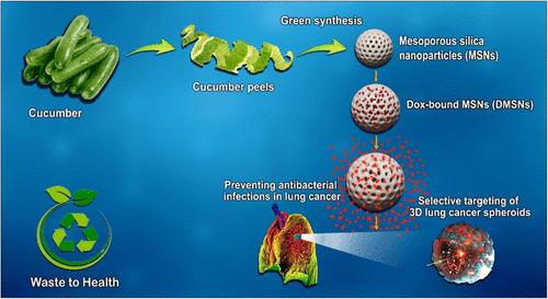 Biosynthesis of pH-Responsive Mesoporous Silica Nanoparticles from Cucumber Peels for Targeting 3D Lung Tumor Spheroids