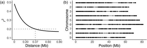 Genetic architecture of Cercospora leaf spot response in table beet with implications for other Beta vulgaris crop types