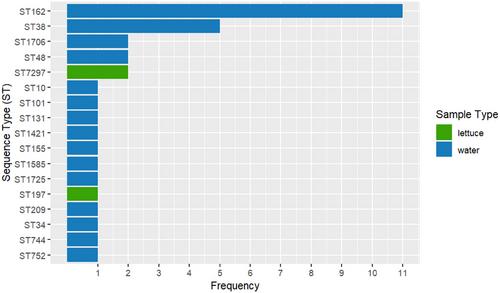 Lack of wastewater treatment in a small town drives the spread of ESBL-producing Escherichia coli in irrigation waters