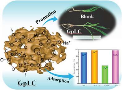 Preparation of Loess-Clay Based Eco-Friendly Geopolymer for Efficient Removal of Pollutants in Water