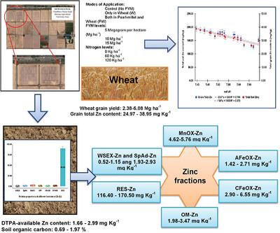 Geochemical Interaction and Bioavailability of Zinc in Soil Under Long-Term Integrated Nutrient Management in Pearl Millet–Wheat System