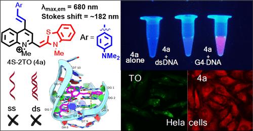 Rationally Designed G-Quadruplex Selective “Turn-On” NIR Fluorescent Probe with Large Stokes Shift for Nucleic Acid Research-Based Applications