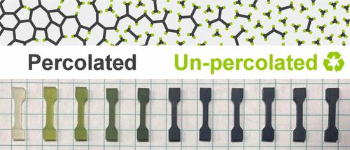 Network Topology and Percolation in Model Covalent Adaptable Networks
