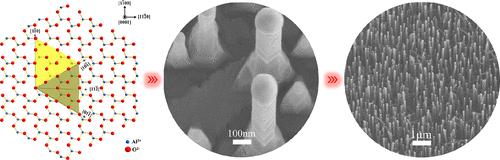 Controlled Epitaxial Growth of Vertically Well-Aligned ZnGa2O4 Nanowire Arrays on Sapphire via a Novel Vapor–Liquid–Solid Process