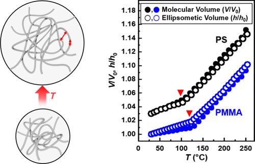 Insights into the Thermal Expansion of Amorphous Polymers