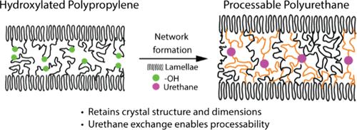 Functionalization and Repurposing of Polypropylene to a Thermoset Polyurethane