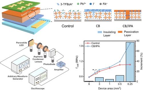 Surface Treatment Engineering Enables Highly Efficient Perovskite Light-Emitting Diodes with Significantly Enhanced Modulation Speed