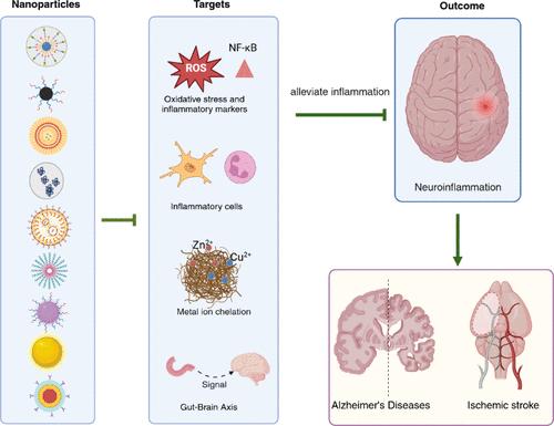 Drug Delivery Targeting Neuroinflammation to Treat Brain Diseases