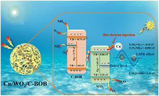 LSPR-enhanced photocatalytic N2 fixation over Z-scheme POMOF-derived Cu/WO2 modified C-BiOBr with multiple active sites†