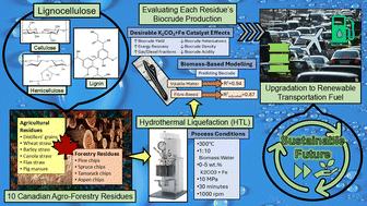 Biocrude production via hydrothermal liquefaction of Canadian lignocellulosic residues for sustainable transportation: screening, catalytic effect, and modelling†