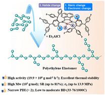 Thermally stable C2-symmetric α-diimine nickel precatalysts for ethylene polymerization: semicrystalline to amorphous PE with high tensile and elastic properties†