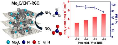 Enhanced electrochemical nitrate reduction to ammonia with nanostructured Mo2C on carbon nanotube-reduced graphene oxide hybrid support†