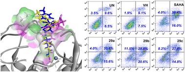 Design, synthesis and bioevaluation of novel N-heterocyclic hydroxamic acids as histone deacetylase inhibitors and their antitumor activity study†