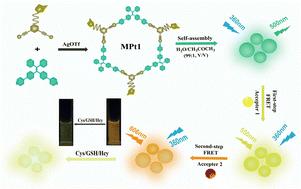 A sequential artificial light-harvesting system based on a metallacycle for sensitive detection of biothiols†