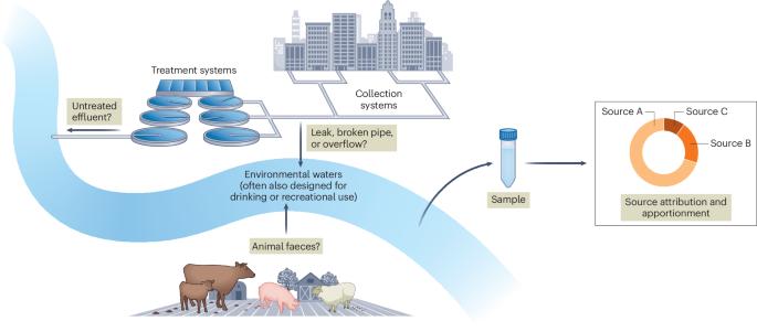 Faecal contamination of the world’s harbours