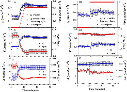 Wind speed affects the rate and kinetics of stomatal conductance