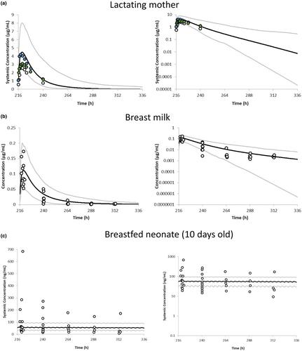 Using PBPK modeling to supplement clinical data and support the safe and effective use of dolutegravir in pregnant and lactating women