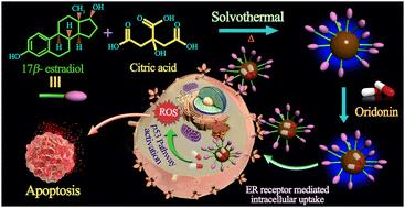 Inherently targeted estradiol-derived carbon dots for selective killing of ER (+) breast cancer cells via oridonin-triggered p53 pathway activation†