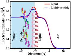 Selective assembly and insertion of ubiquicidin antimicrobial peptide in lipid monolayers