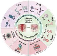 Bioinspired peptide/polyamino acid assemblies as quorum sensing inhibitors for the treatment of bacterial infections