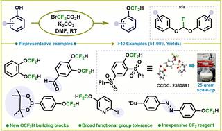 Accessing structurally diverse aryl difluoromethyl ethers with bromo(difluoro)acetic acid†