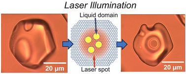Laser-induced fabrication of a supercooled liquid droplet embedded in an ice microcrystal†