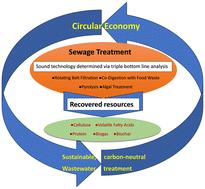 A review of carbon recovery in sewage treatment and analysis of product options for a typical water recycling plant†