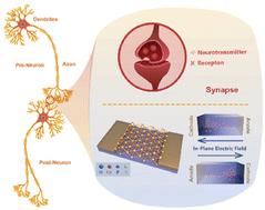 Emerging van der Waals material CuInP2S6: physical properties, theories and applications