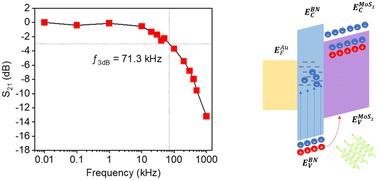 A fast 2D MoS2 photodetector with ultralow contact resistance†