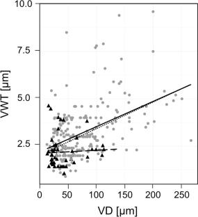 Towards a better understanding of xylem: Helical thickenings in vessels of woody angiosperms are associated with thinner cell walls and lower vessel diameter