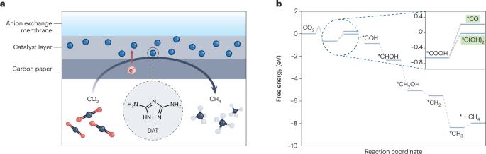 Producing methane through organocatalysis