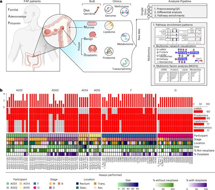 Multiomic analysis of familial adenomatous polyposis reveals molecular pathways associated with early tumorigenesis