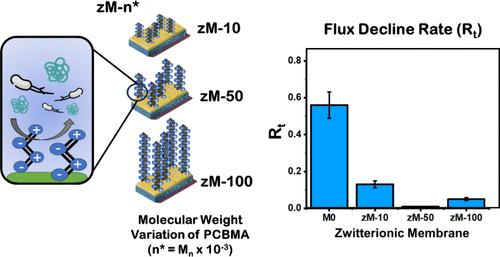 Insights into Probing the Effect of Molecular Weight of Poly(carboxybetaine methacrylate) on the Performance of Forward Osmosis Desalination