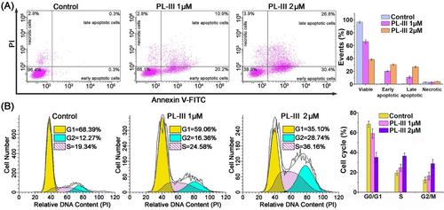 A Dual Action Platinum(IV) Complex with Self-assembly Property Inhibits Prostate Cancer through Mitochondrial Stress Pathway