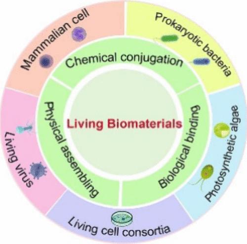 Living Biomaterials: Fabrication Strategies and Biomedical Applications