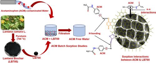 Acetaminophen Sorption Using Invasive Lantana camara Biochar toward Achieving Sustainable Development Goals