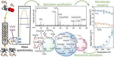 Mechanistic insights into the oxidative coupling of methane over a Li/MgO catalyst: an experimental and microkinetic modeling study†