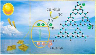 Exploration of the synergistic regulatory mechanism of hydroxide and fluoride modification on the photocatalytic activity of 2D g-C3N4†