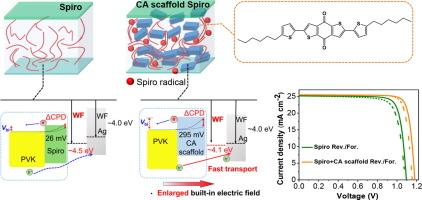 Improving redox reactions of Spiro-OMeTAD via p-type molecular scaffold to reduce energy loss at Ag-electrode in perovskite solar cells