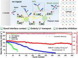 Functionalized fillers as “ions relay stations” enabling Li+ ordered transport in quasi-solid electrolytes for high-stability lithium metal batteries